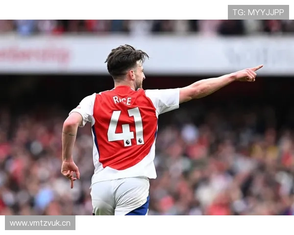 赖斯上限是否受限于战术角色与体系适配